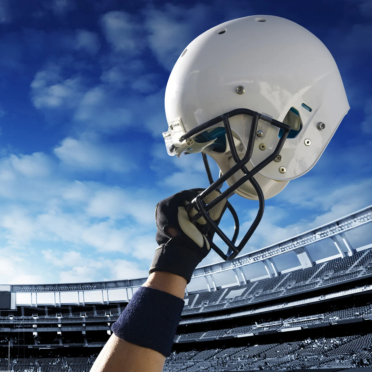 Trusted Pet Guide 5 cat 6