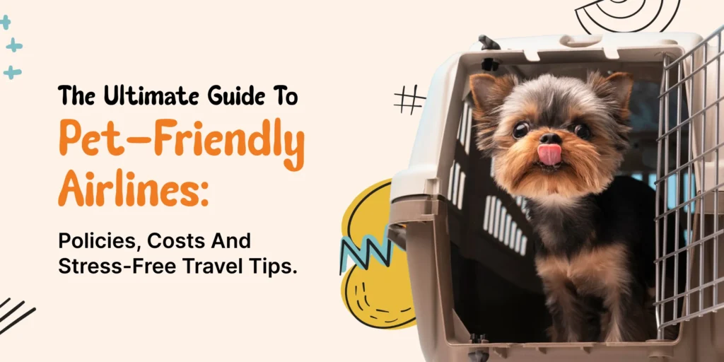 pet in a cage ready for travel in airline