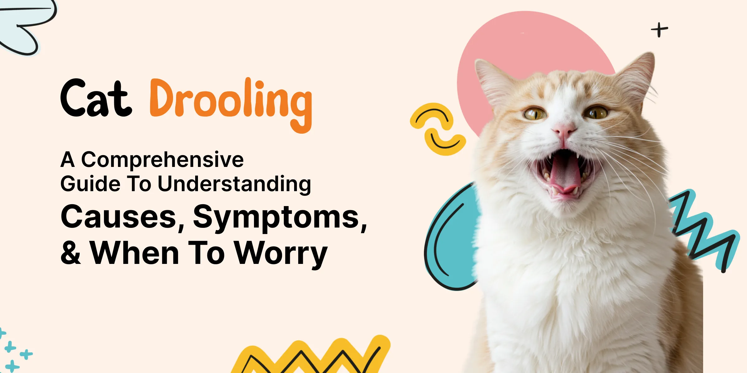 cat drooling , opening his mouth