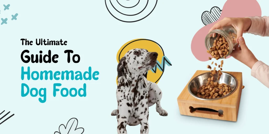 a dog with homemade food