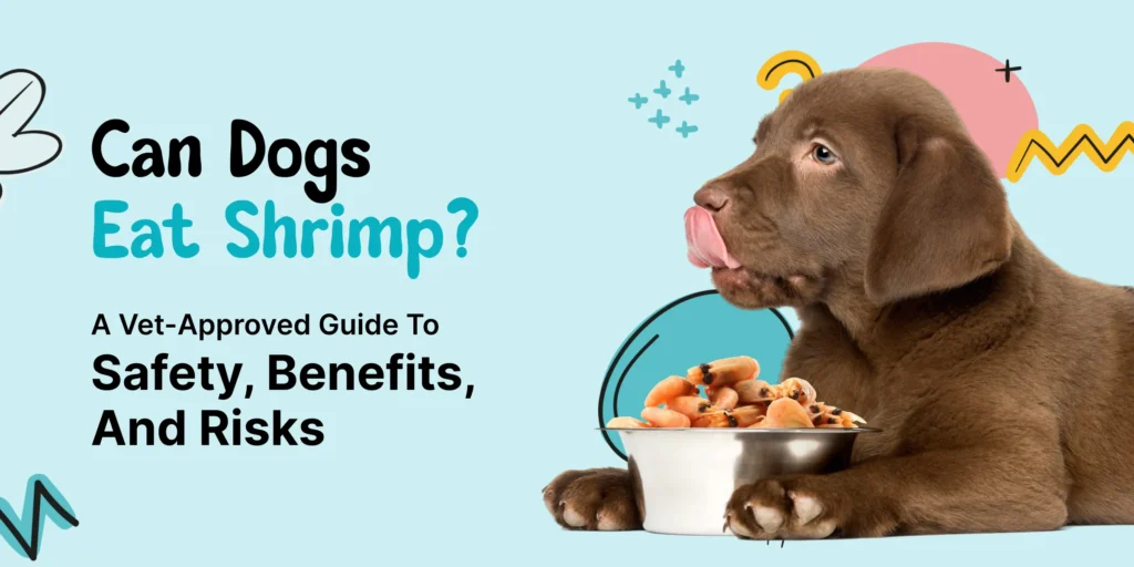 a dog eating shrimps