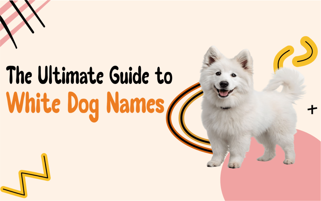 Graphic titled “The Ultimate Guide to White Dog Names” with a happy white dog on a soft beige background