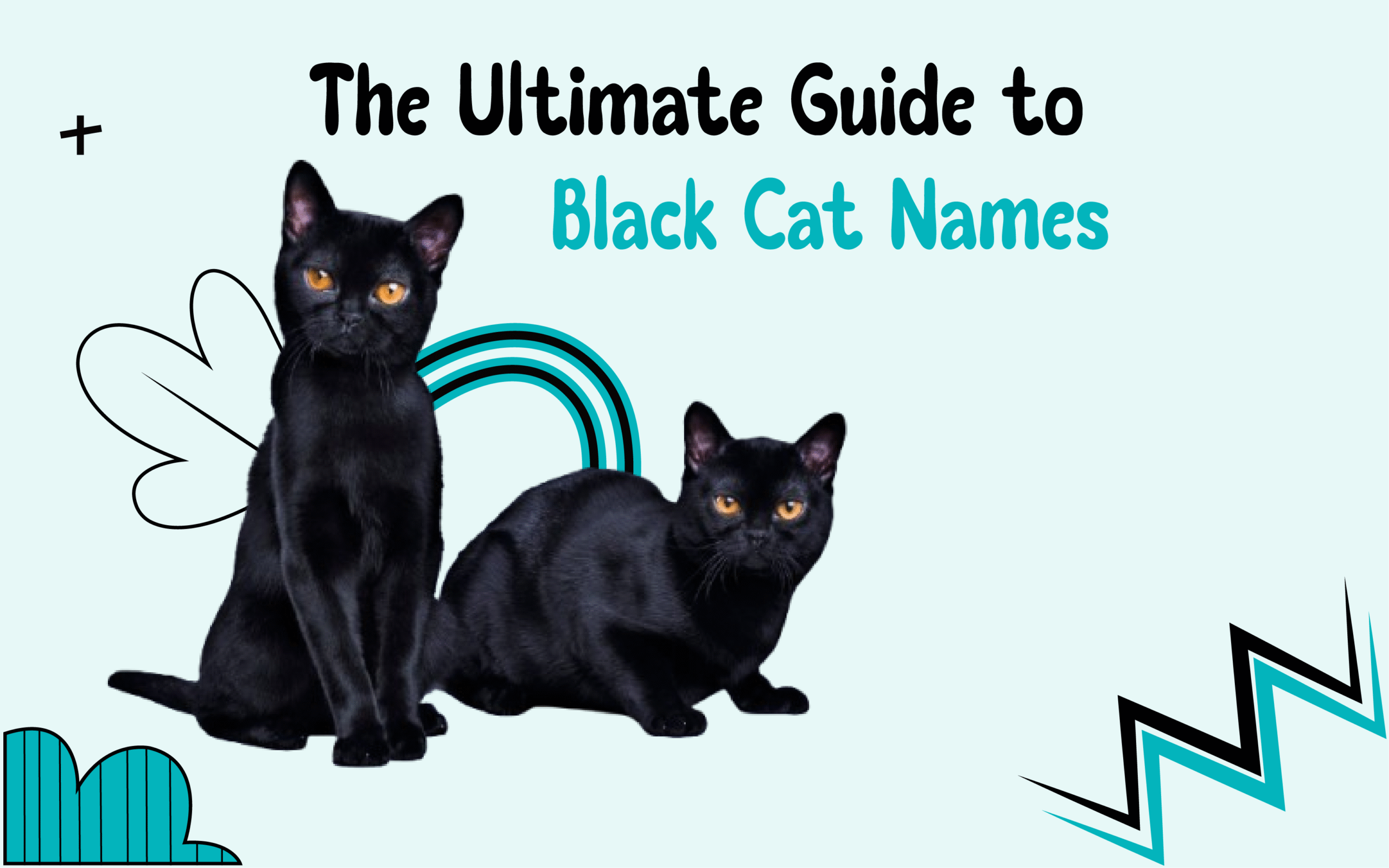 Graphic titled “The Ultimate Guide to black cat Names” with two black cats on a soft blue background