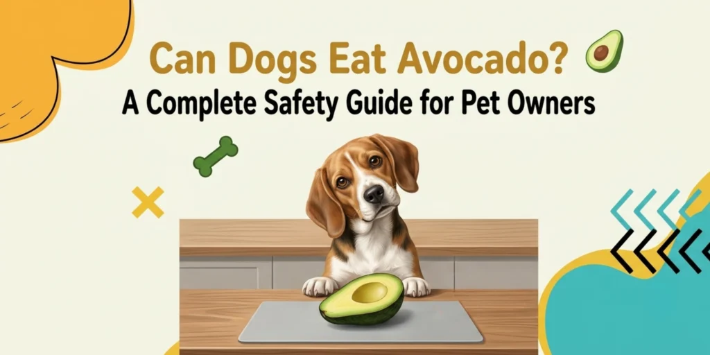Dog sniffing a sliced avocado on a kitchen counter